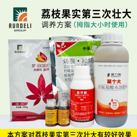 【荔枝果實第三次壯大】專用調養方案