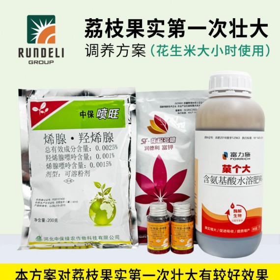 【荔枝果實第一次壯大】專用調養方案