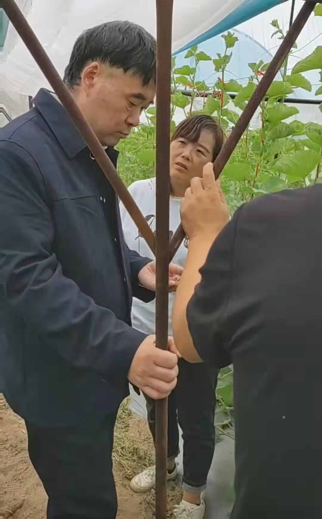 深入田間地頭，為農戶解決問題