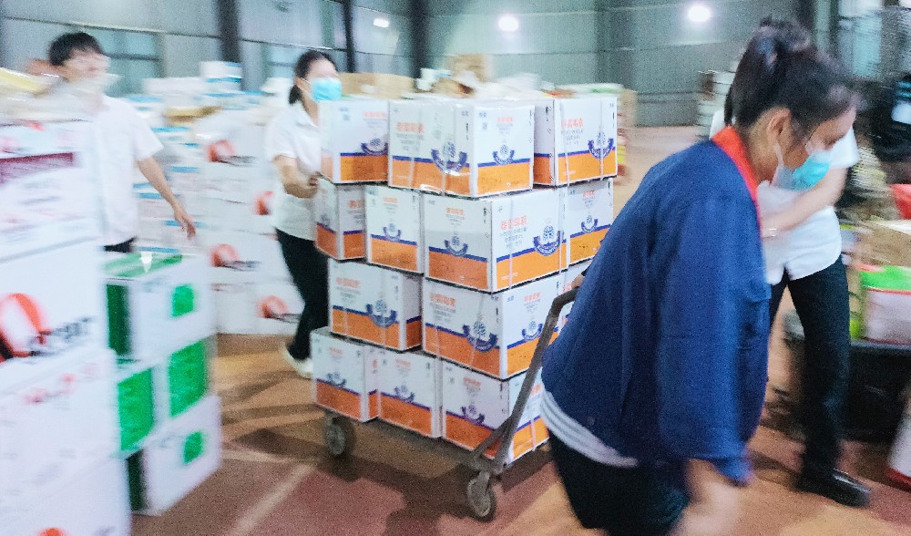 國慶節前，海南潤德利如火如荼地出貨中……