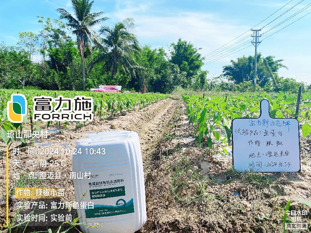 魚蛋白肽有機水溶肥試驗示范情況